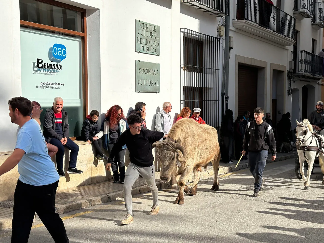 Día de Sant Antoni de la Fira i Porrat 2025 de Benissa 18
