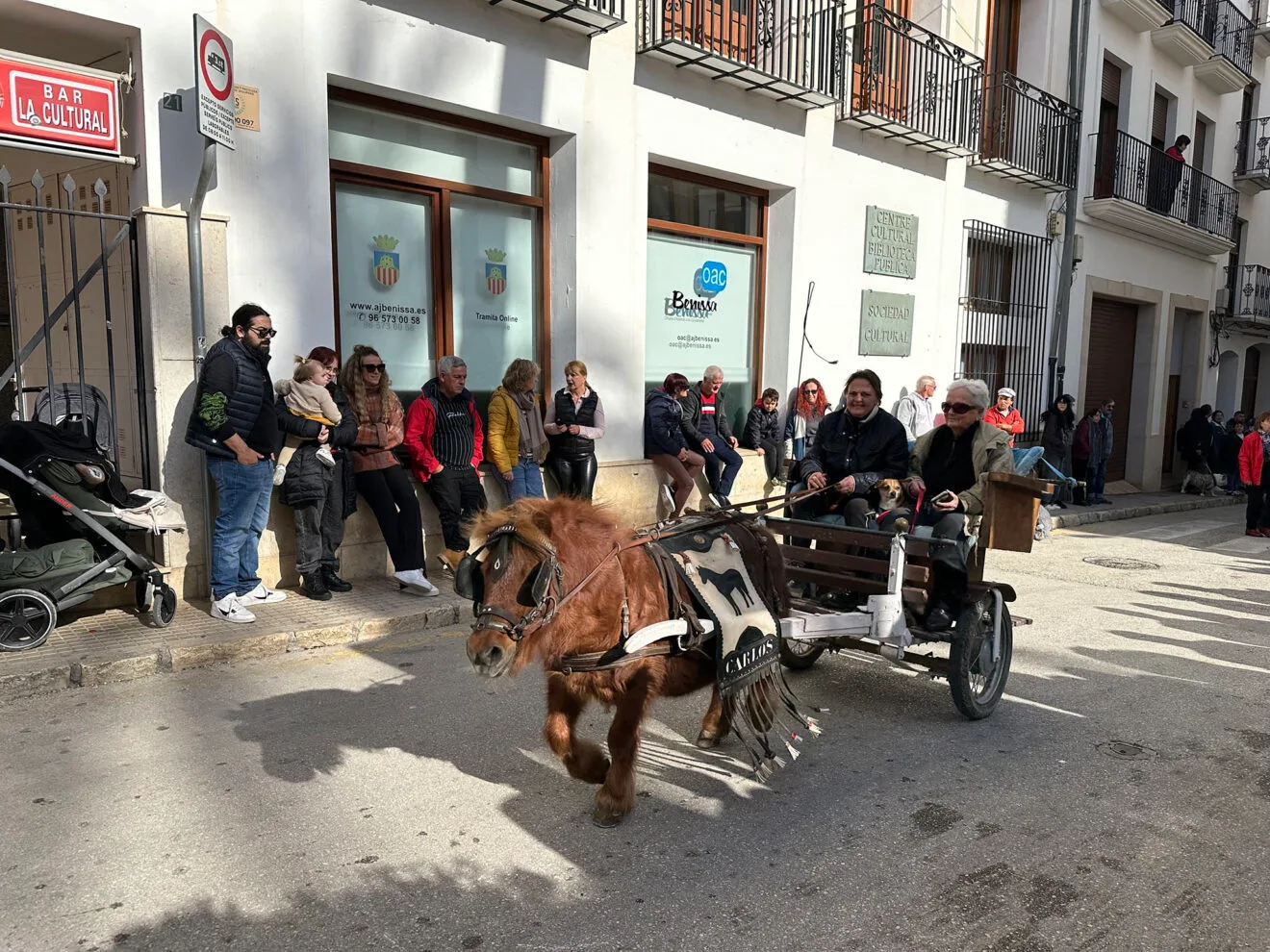 Día de Sant Antoni de la Fira i Porrat 2025 de Benissa 20