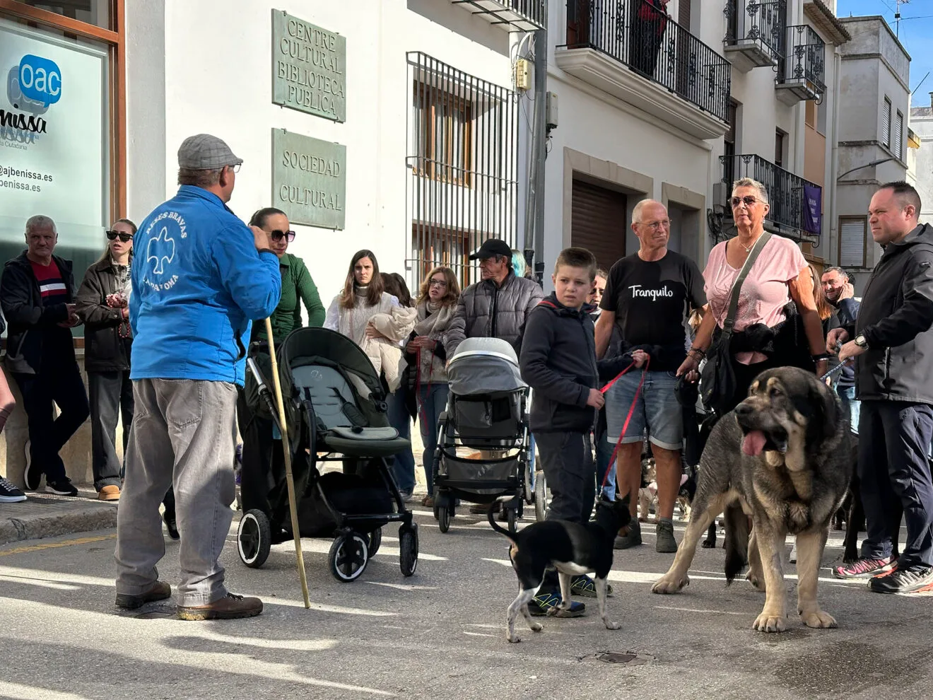 Día de Sant Antoni de la Fira i Porrat 2025 de Benissa 24