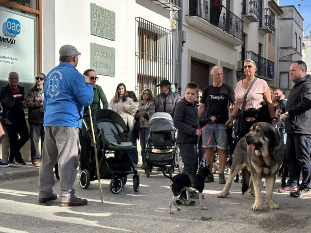 dia de sant antoni de la fira i porrat 2025 de benissa 24