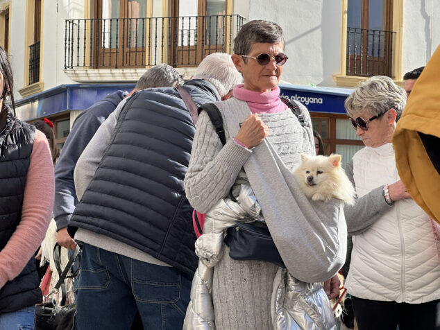 dia de sant antoni de la fira i porrat 2025 de benissa 30