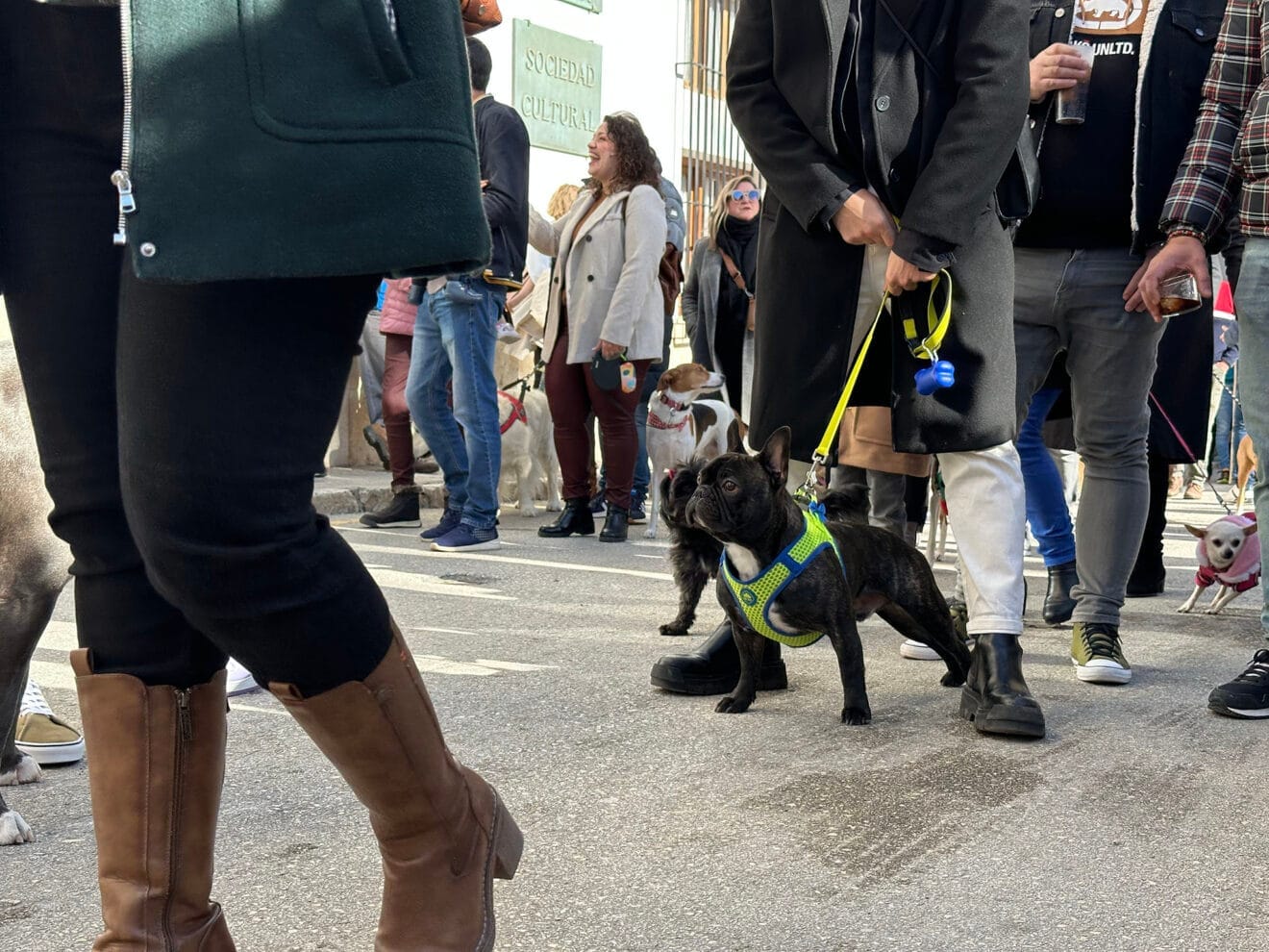 Día de Sant Antoni de la Fira i Porrat 2025 de Benissa 36