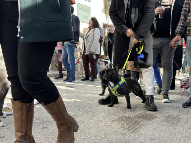 dia de sant antoni de la fira i porrat 2025 de benissa 36