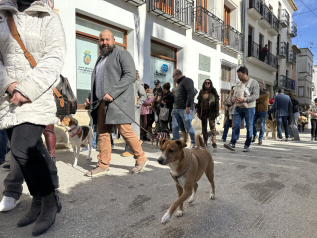 dia de sant antoni de la fira i porrat 2025 de benissa 37