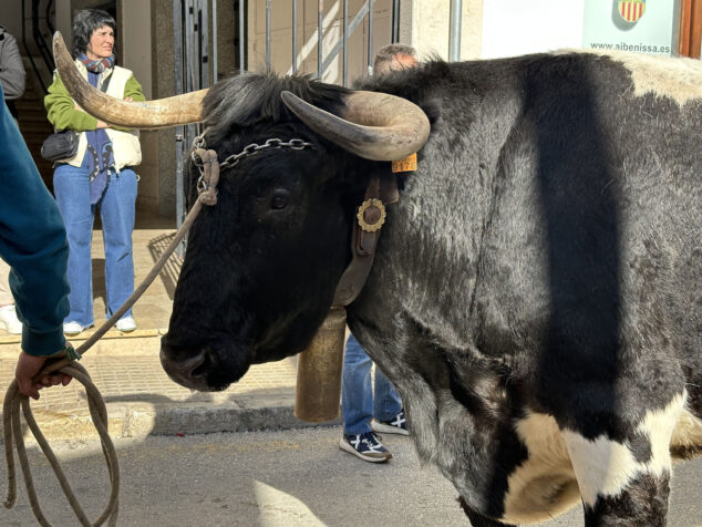 dia de sant antoni de la fira i porrat 2025 de benissa 39