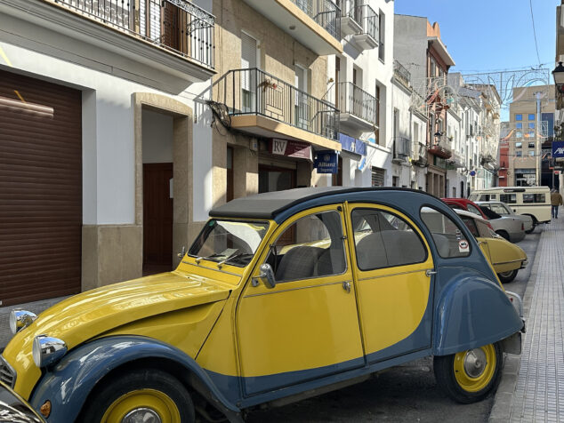 dia de sant antoni de la fira i porrat 2025 de benissa 64