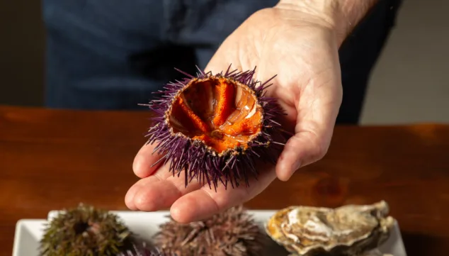 el arte de cocinar marisco a la perfeccion