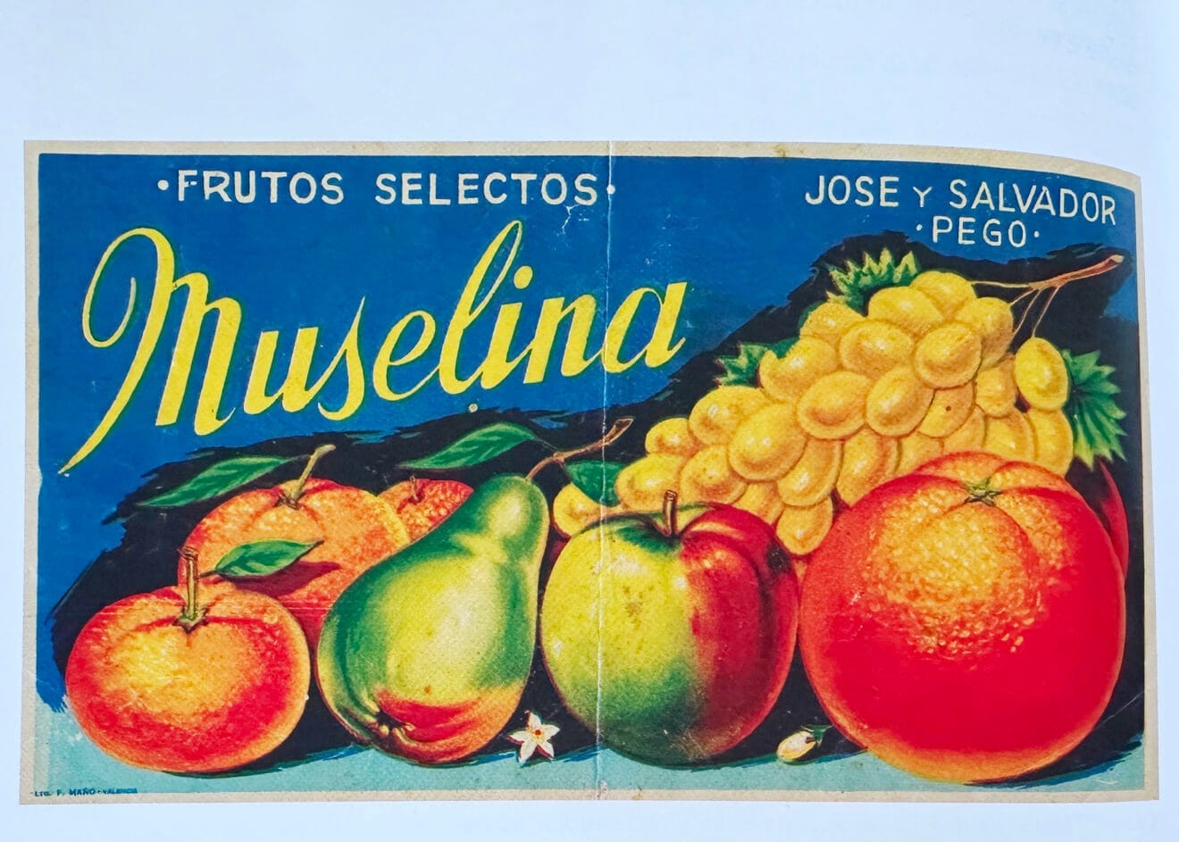 Etiqueta de 'Frutos selectos, Muselina. Jose y Salvador, Pego'
