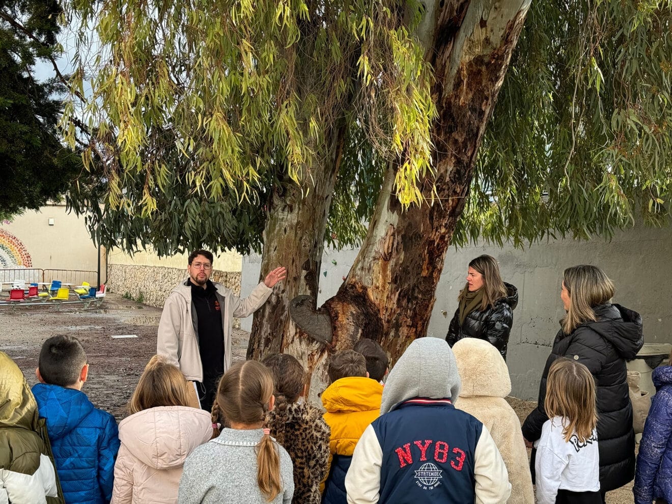 Los más pequeños de Benissa aprenden sobre sus árboles