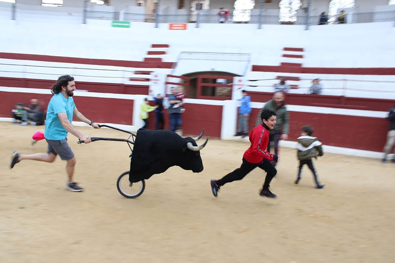 Mig Any de Sant Jaume 2025 de Ondara  21