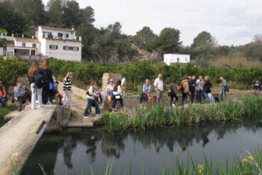 Baixà del riu Bullent 2025 10