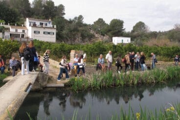 Baixada del riu Butllent 2025  (10)