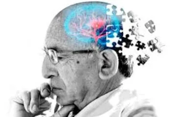 Envejecimiento cerebral