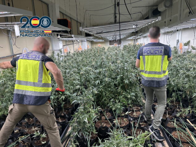 Imagen: Policía Nacional en una de las naves con las plantaciones de marihuana indoor