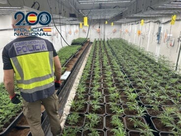 Una de las plantaciones de marihuana indoor