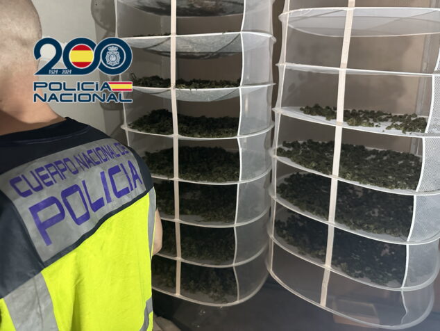 Imagen: La Policía Nacional desarticula una organización criminal dedicada al cultivo de marihuana mediante plantaciones indoor