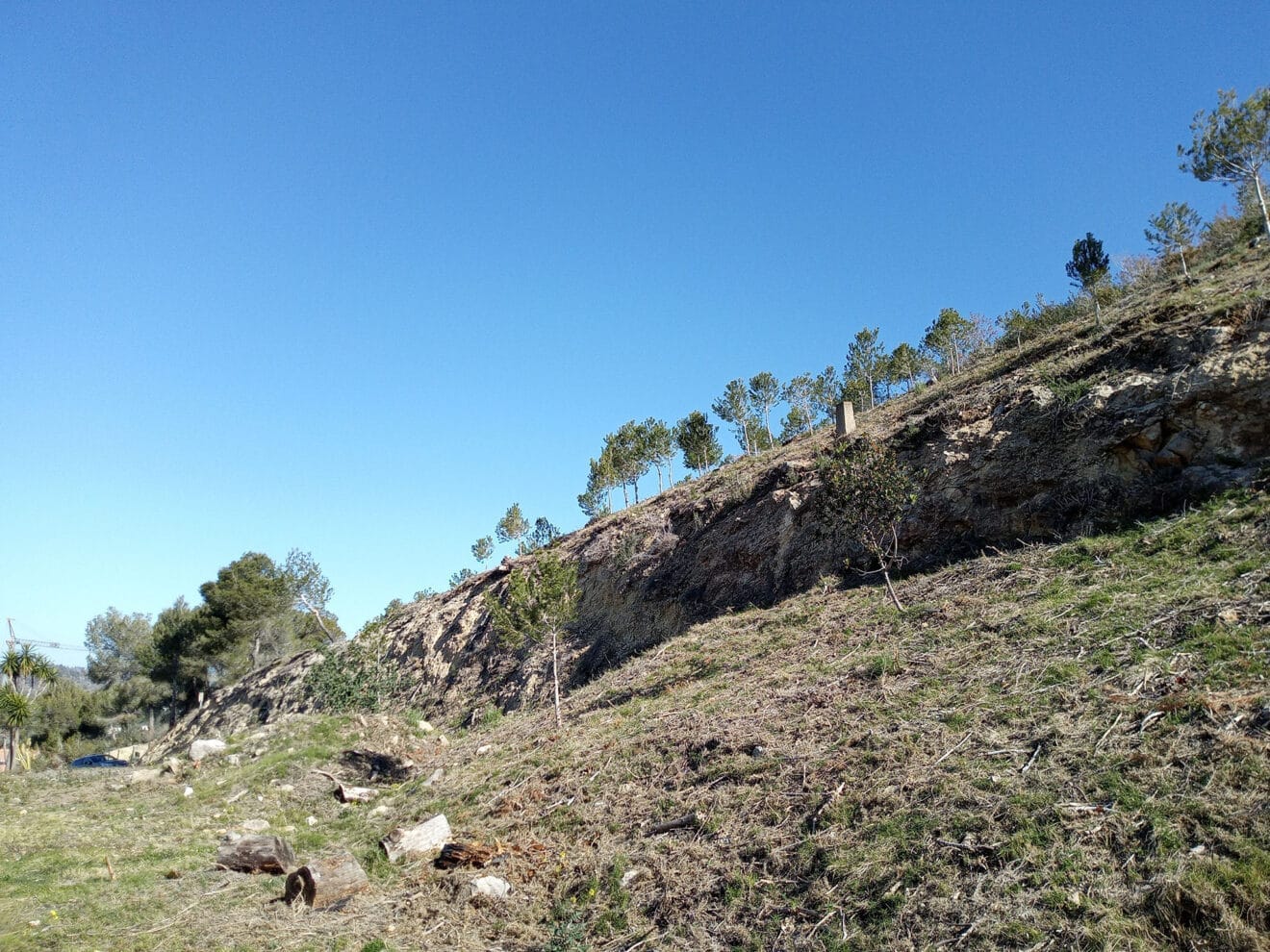 Mejoras de las masas forestales en Benitatxell