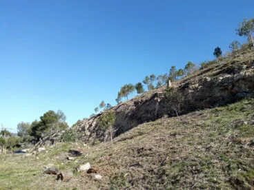 Mejoras de las masas forestales en Benitatxell