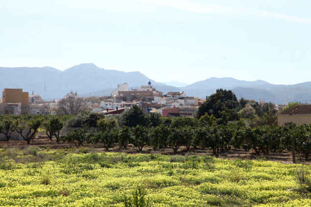 Imagen: Narajos en Ondara