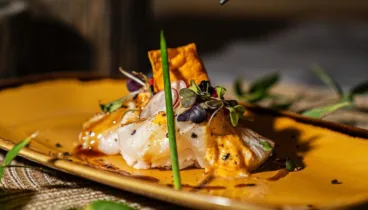 platos que mejoraran tus expectativas