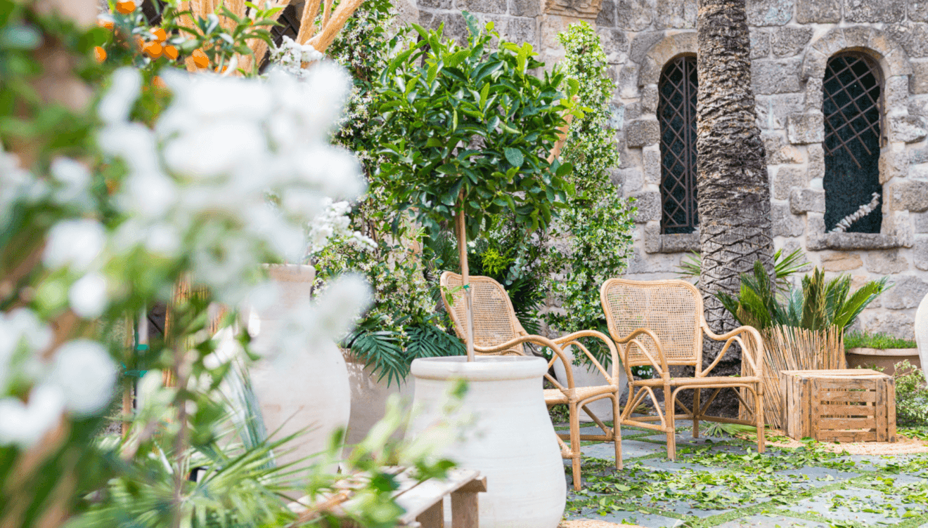 Tonos vivos durante tu boda 2025