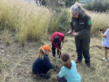 Actividad por el Día del Árbol del CEIP Santa María Magdalena de Benitatxell