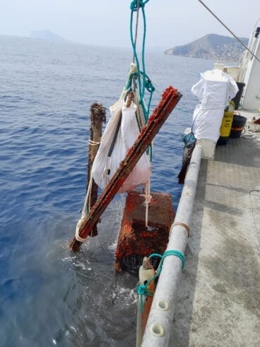 Basura extraída del mar Mediterráneo