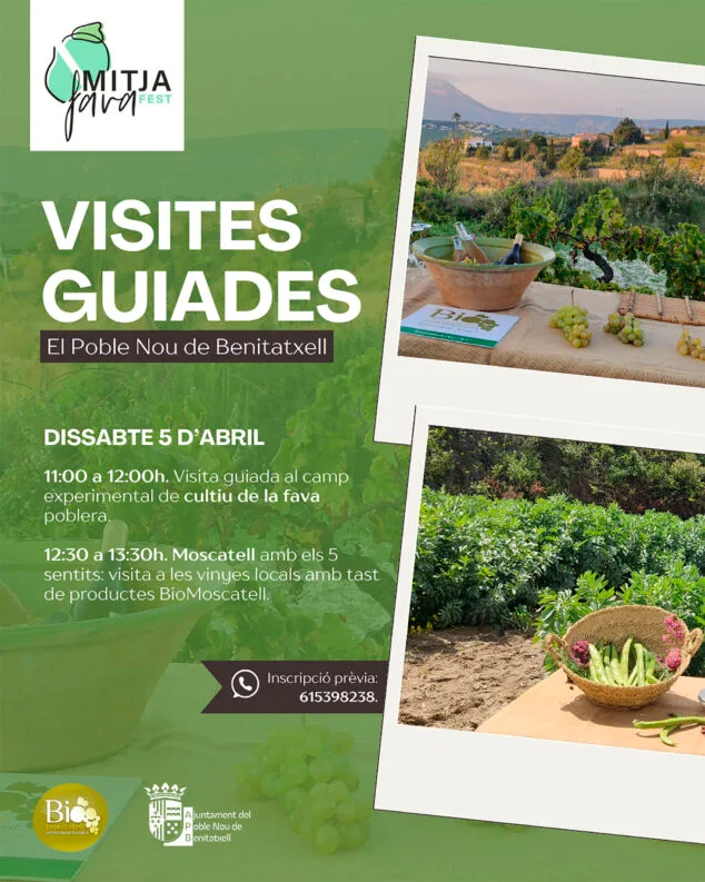 La fava poblera vuelve a protagonizar el mes de abril con el Mitjafava Fest 2025 de Benitatxell 4 Imagen: Cartel de visitas guidas durante el MitjaFava Fest de Benitatxell 2025