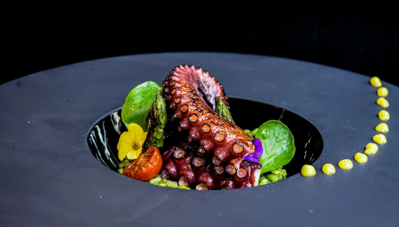 Comida gastronómica