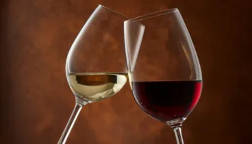 la irresistible degustacion que te propone bodegas xalo