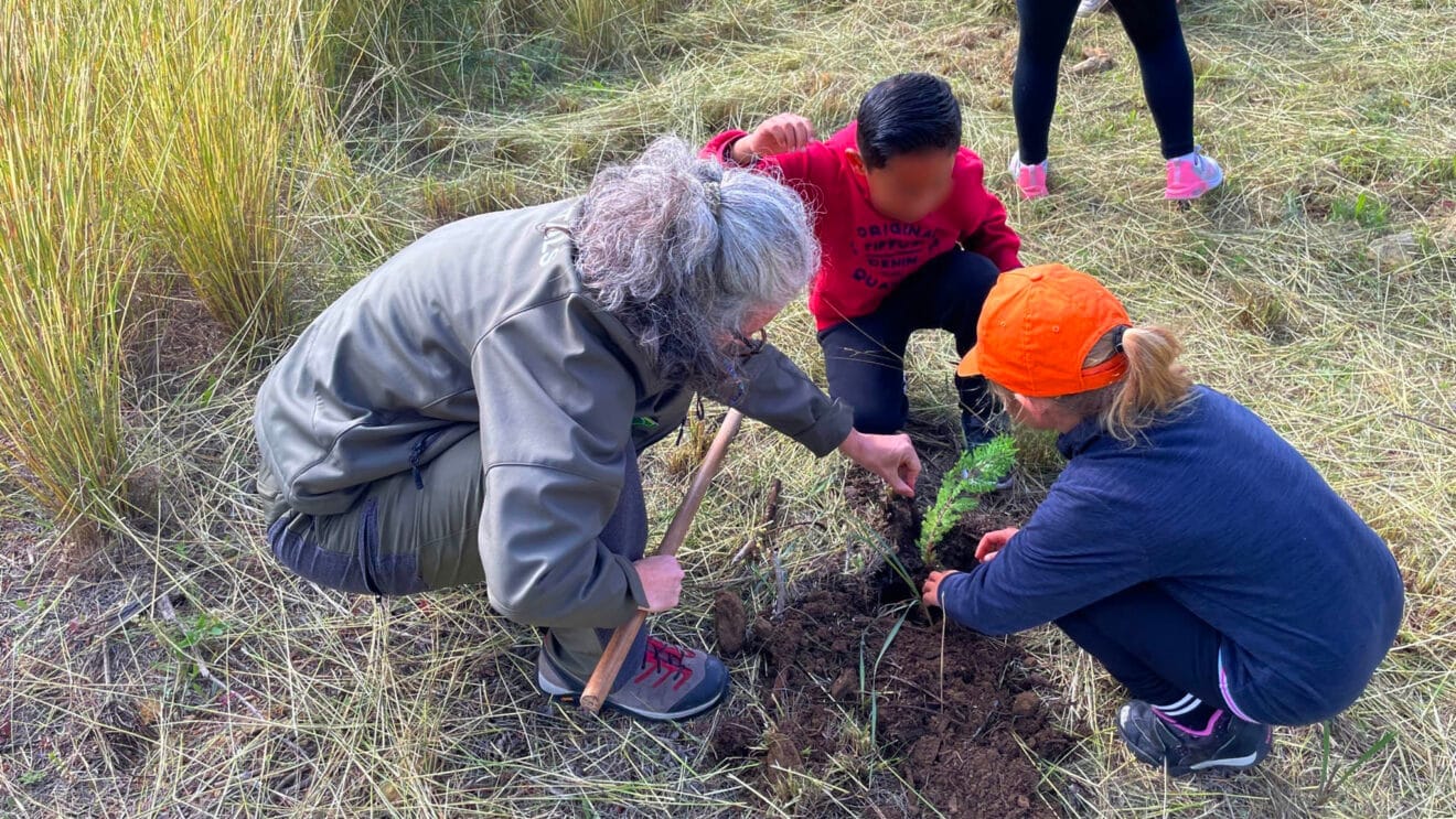 Los escolares de Benitatxell reforestan Les Fonts