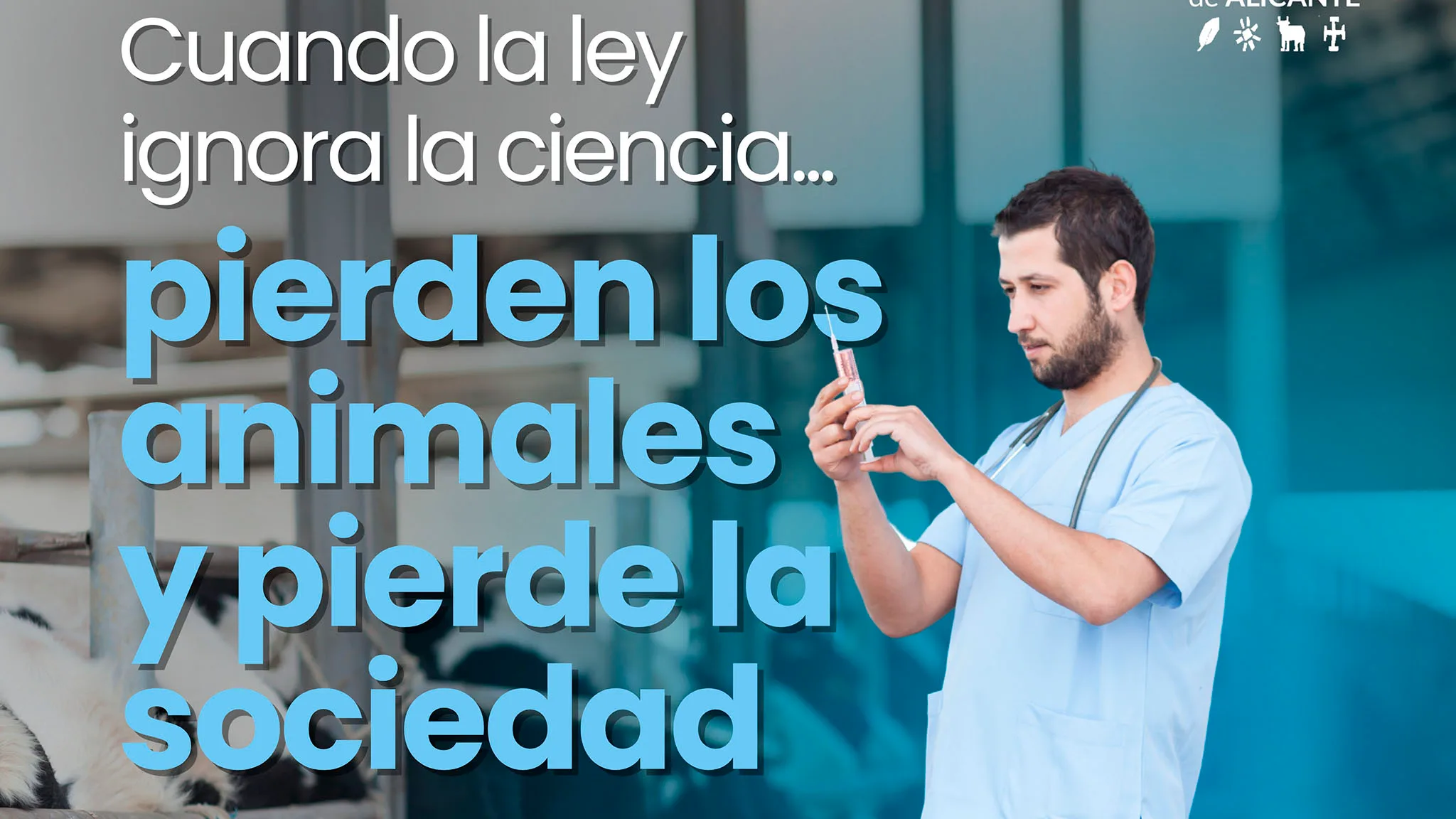 movilizacion de veterinarios de alicante