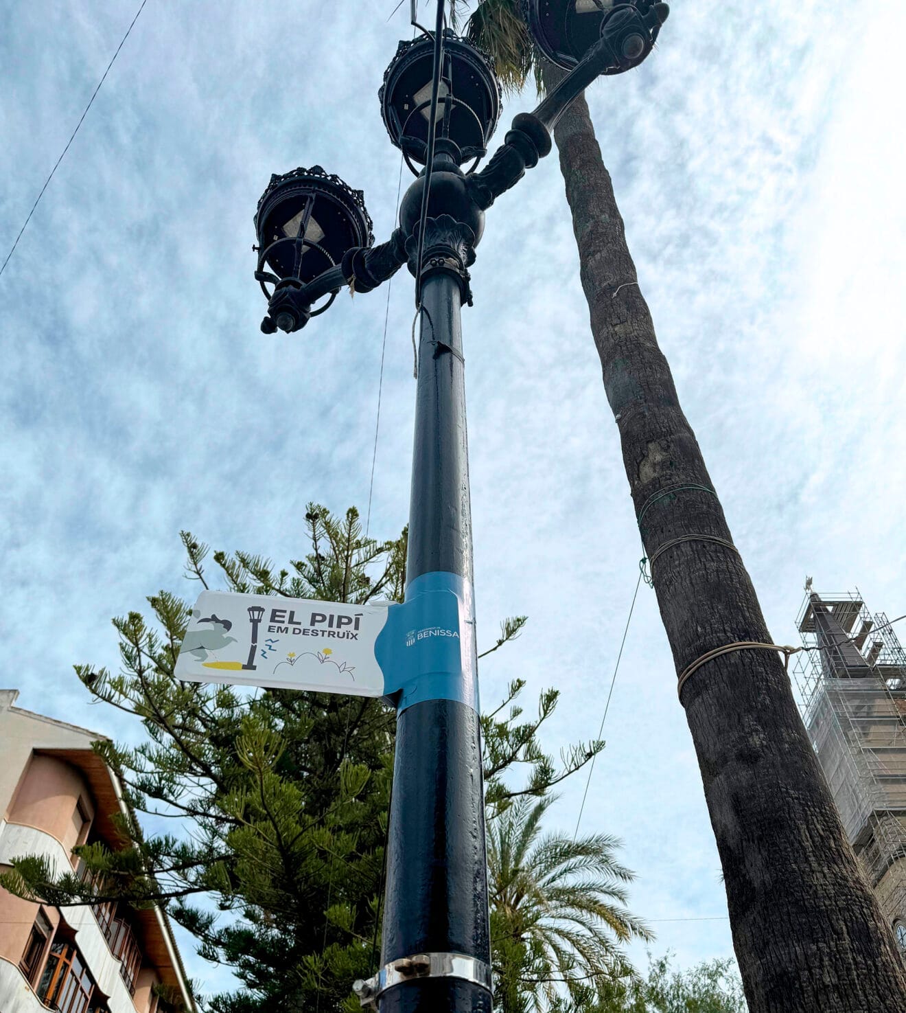 Nueva campaña de de concienciación 'Ací no, El pipí em destruïx' de Benissa
