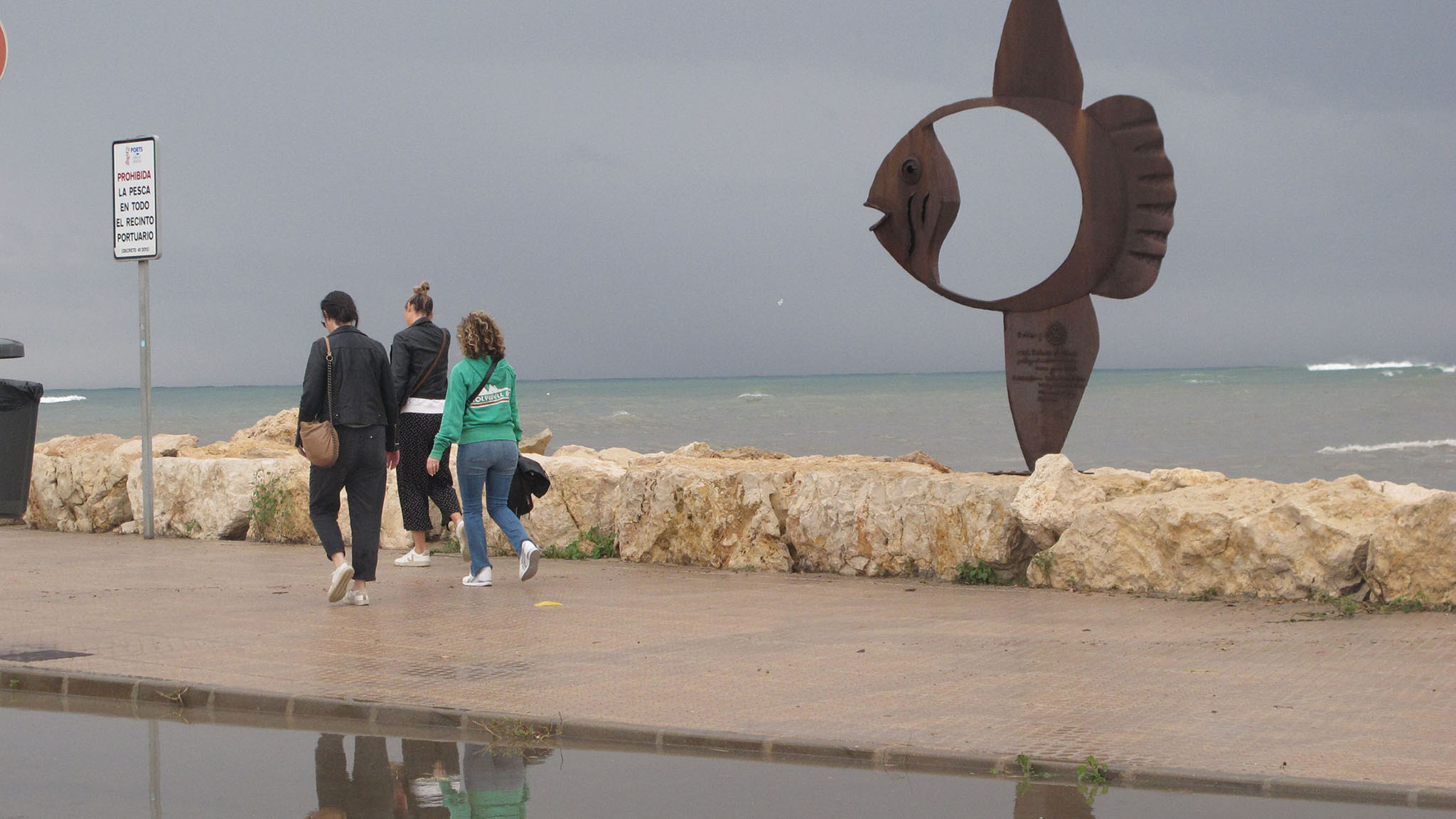 paseo de la marina de denia tras la lluvia archivo