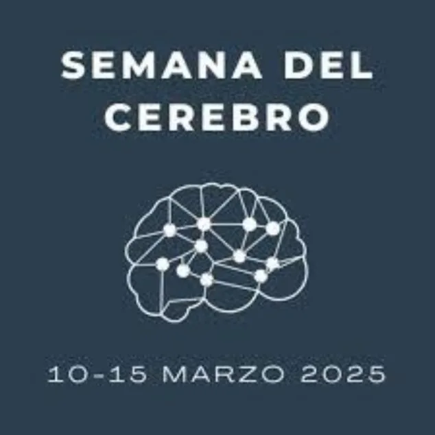 Imagen: Semana del cerebro 2025