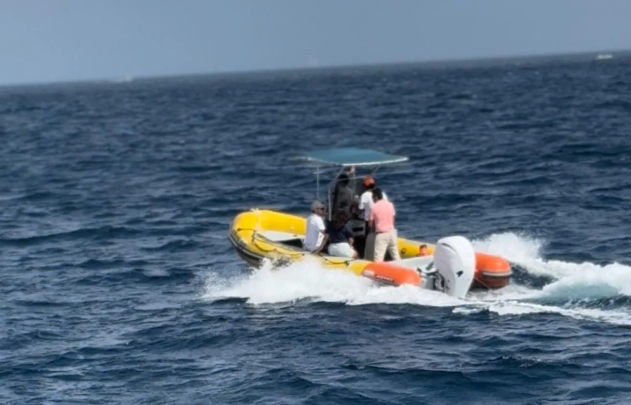 250428 med foto vigilancia marina 2