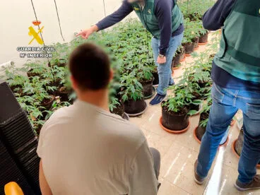 detenido un joven en una plantacion de marihuana en calp