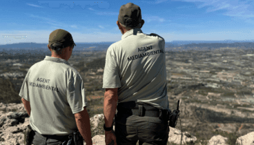 Efectivos de la Generalitat en tareas de vigilancia forestal