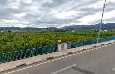 Escudo picado de la Segunda Germania, el Ràfol d’Almúnia