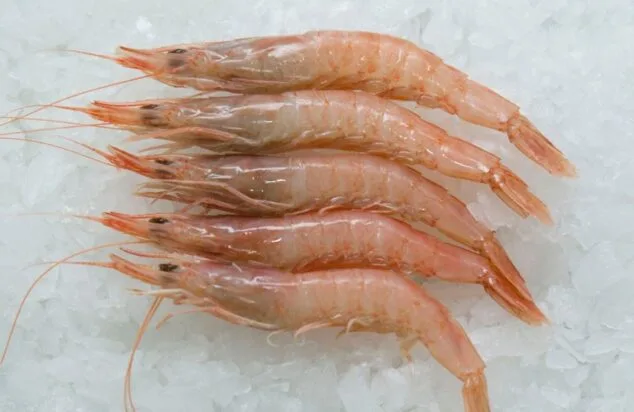 Imagen: Gamba Blanca de Calp (archivo)