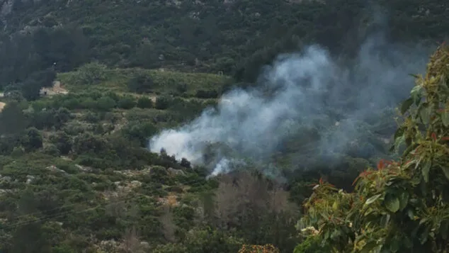 Un incendio en la zona forestal del Castell d'Ambra en Pego moviliza a múltiples efectivos 2 Imagen: Imagen del incendio en la zona del Castell d'Ambra de Pego - Fotografía de Xaro Ortolà Briones
