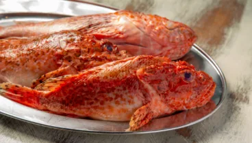 Ingredientes locales con alma asiática