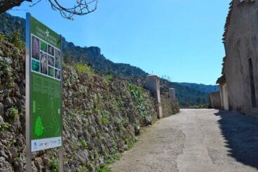 Itinerario botánico Ombría de Benirrama, la Vall de Gallinera – MACMA