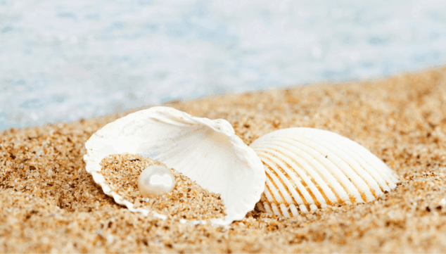 las joyas de la temporada 2025 llegan a denia