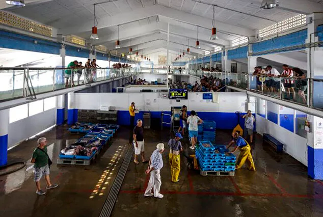 Imagen: Lonja de Pescado de Calp (archivo)