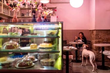 ‘Okashi Sanda’, el japonés sin gluten en Madrid donde puedes acudir con tu mascota. Foto Alfredo Cáliz