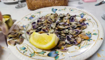 Telinas frescas para compartir