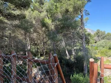 Biodiversidad del Montgó