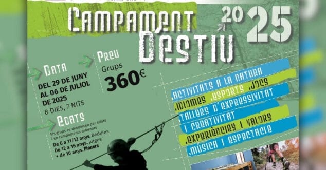 cartel campamento de verano