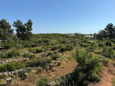 Colmenas con vistas al Mediterráneo